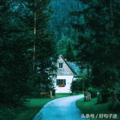 成长感悟的句子摘抄（每日感悟收获一句话）