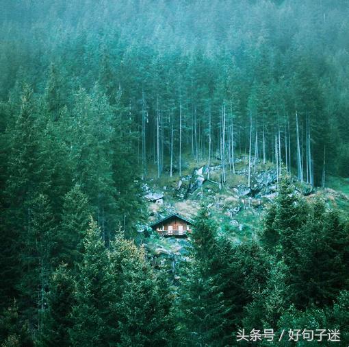 成长感悟的句子摘抄（每日感悟收获一句话）
