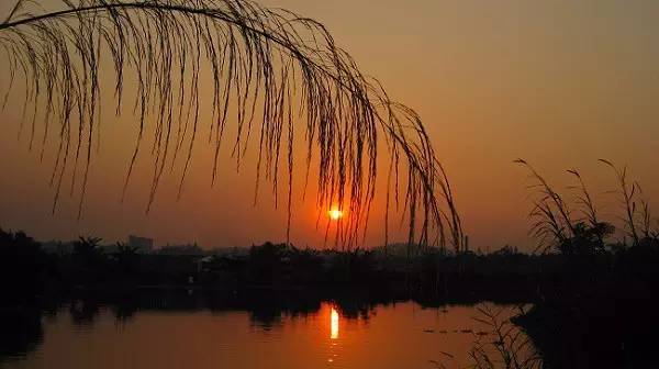 形容夕阳的诗句唯美（描写夕阳的古诗词）