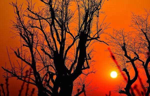 形容夕阳的诗句唯美（描写夕阳的古诗词）