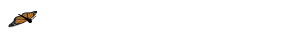 我的成功不是偶然读后感（成功没有偶然读后感600字）