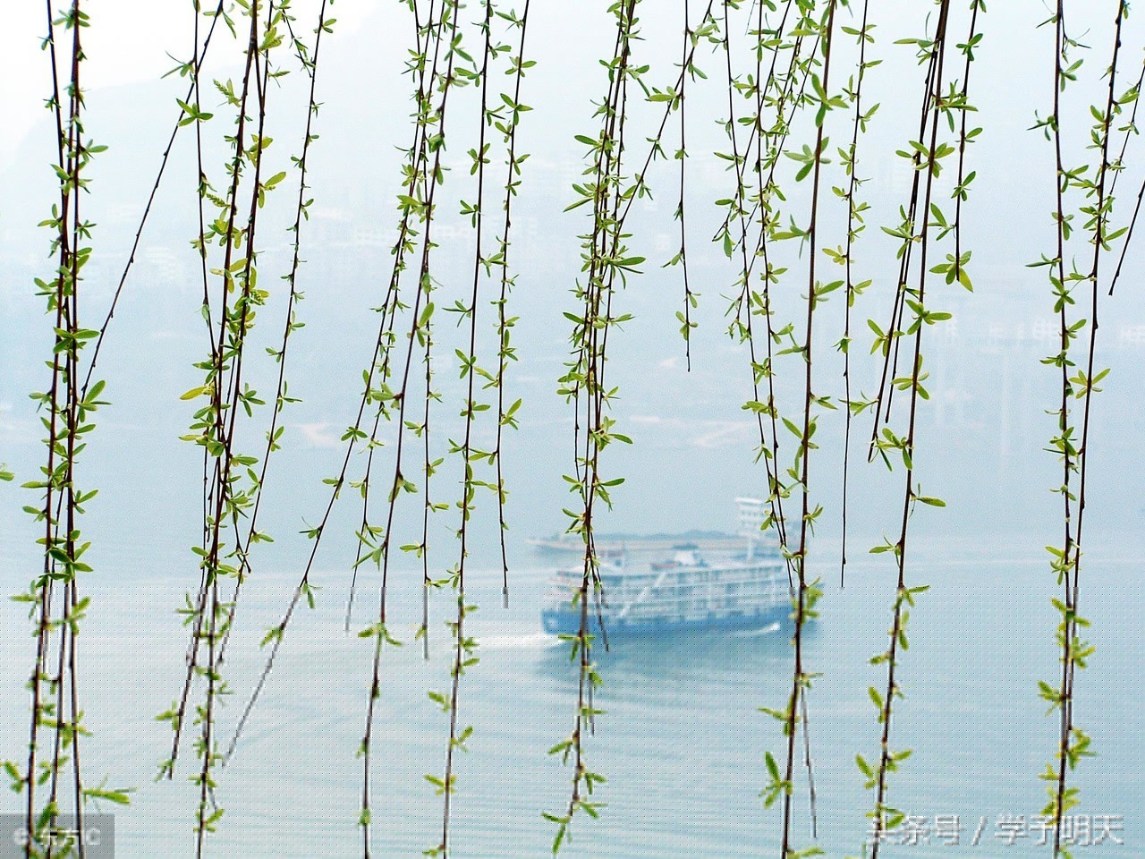 绝句带拼音的古诗有哪些（绝句诗文赏析及解释）