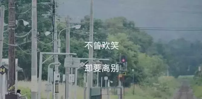 人生的句子说说心情（关于心灵鸡汤的经典说说）