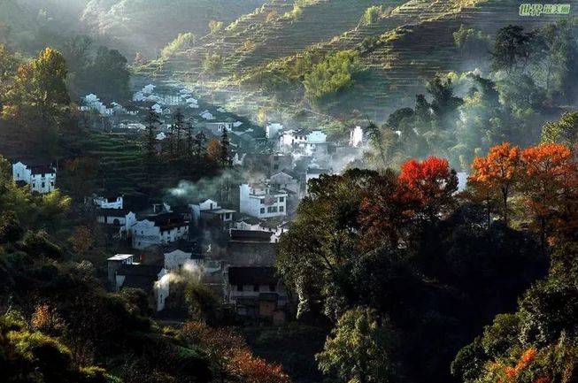 描写乡村秋景的诗句（描写山村秋色的古诗词）