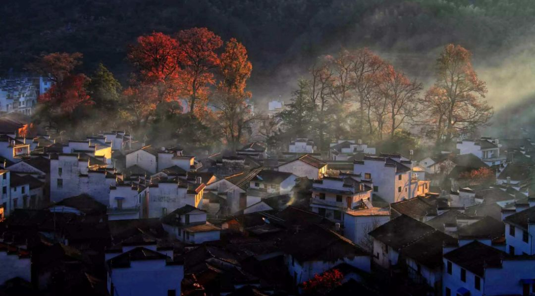描写乡村秋景的诗句（描写山村秋色的古诗词）