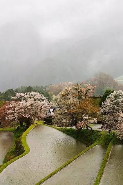 田园诗词大全赏析（山水田园诗的古诗大全）