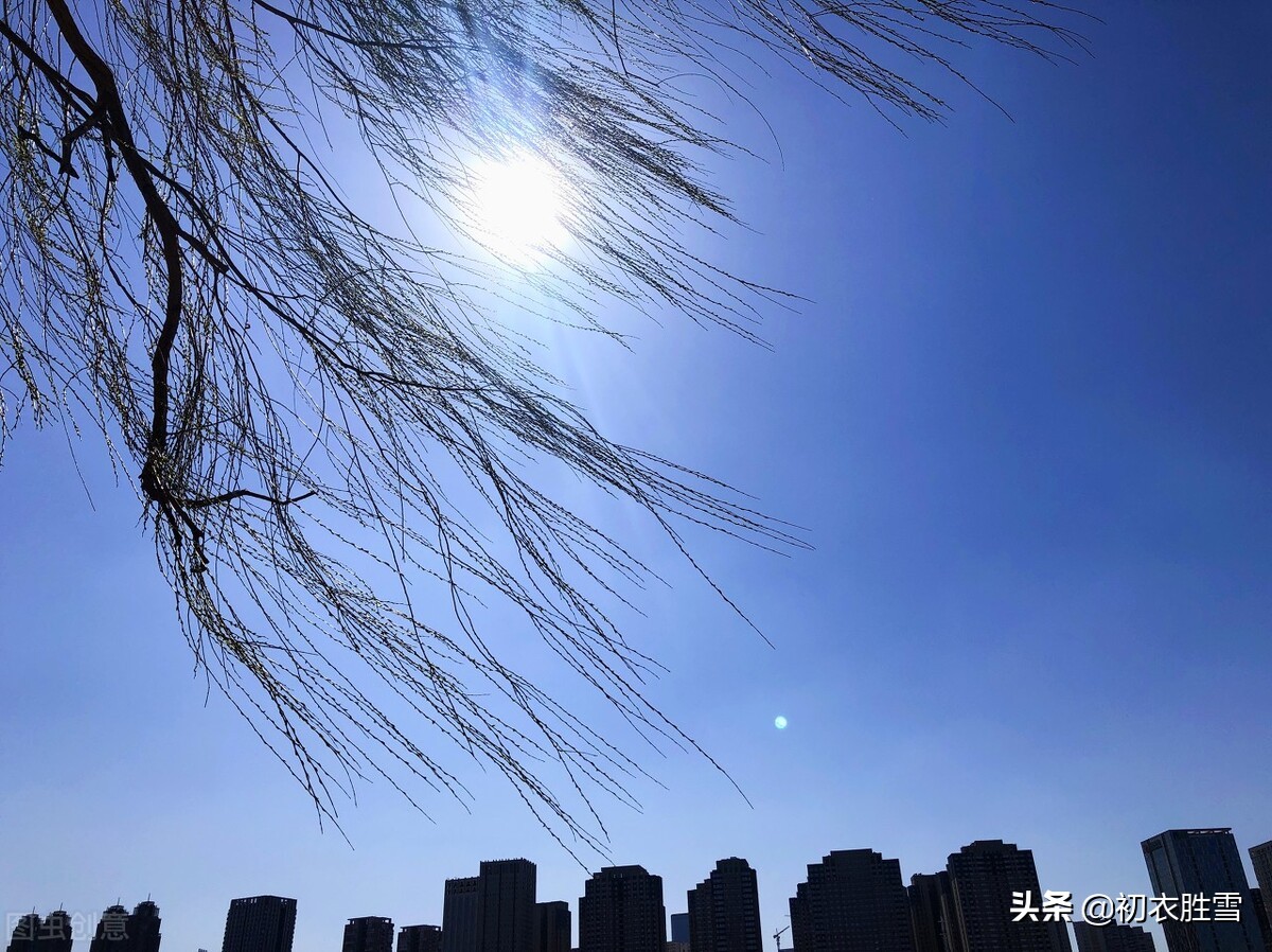 关于立春的诗句古诗（春天的诗句大全）