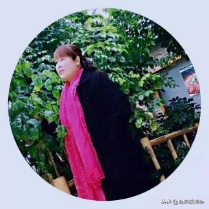关于迎新年诗歌（庆元旦迎新年美篇 ）