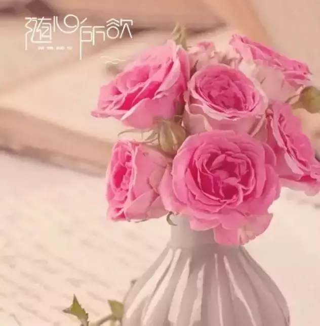 现代情诗大全爱情（7首绝美爱情古诗）