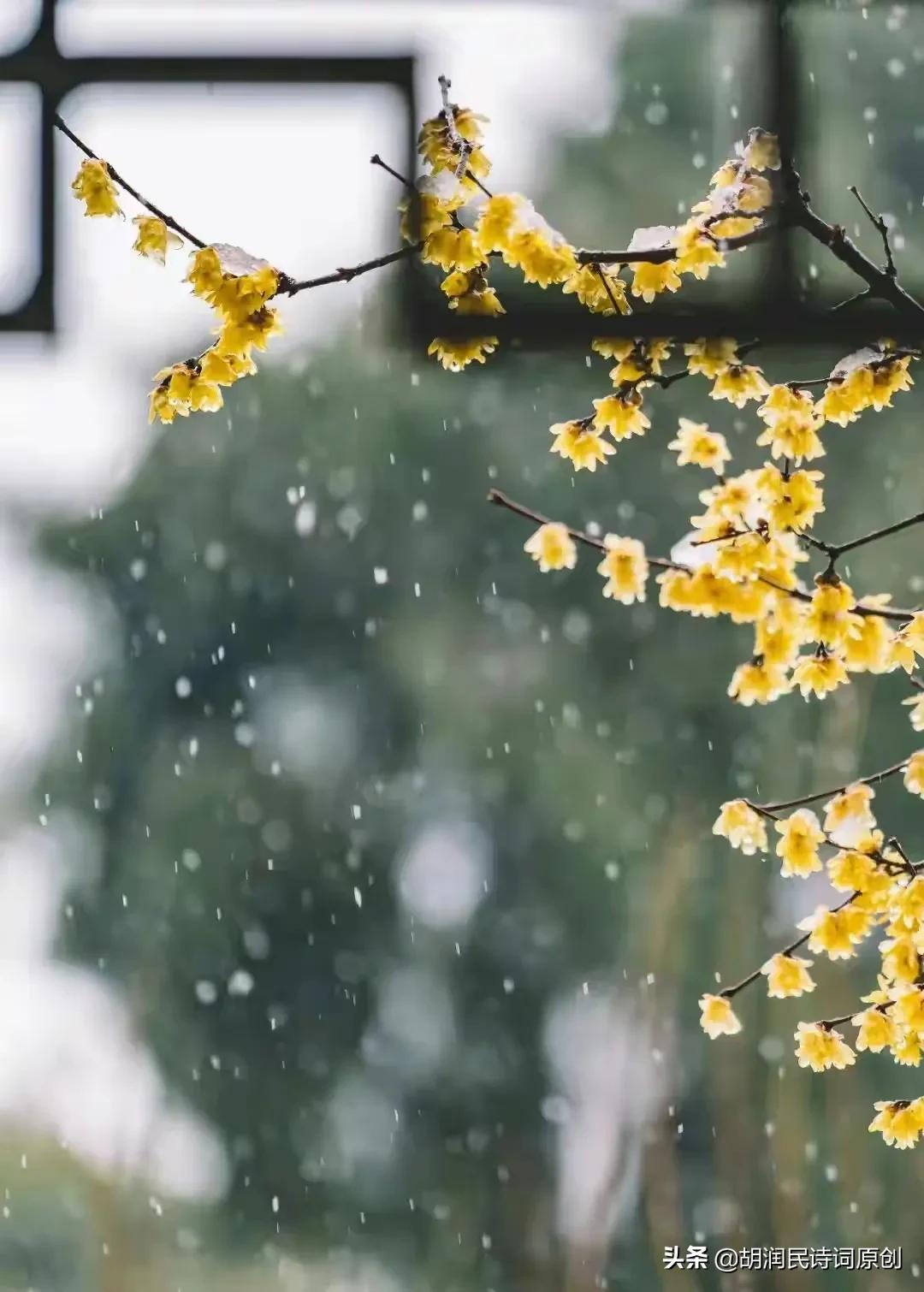 冬天的诗歌现代诗（冬夜的诗句美好唯美）