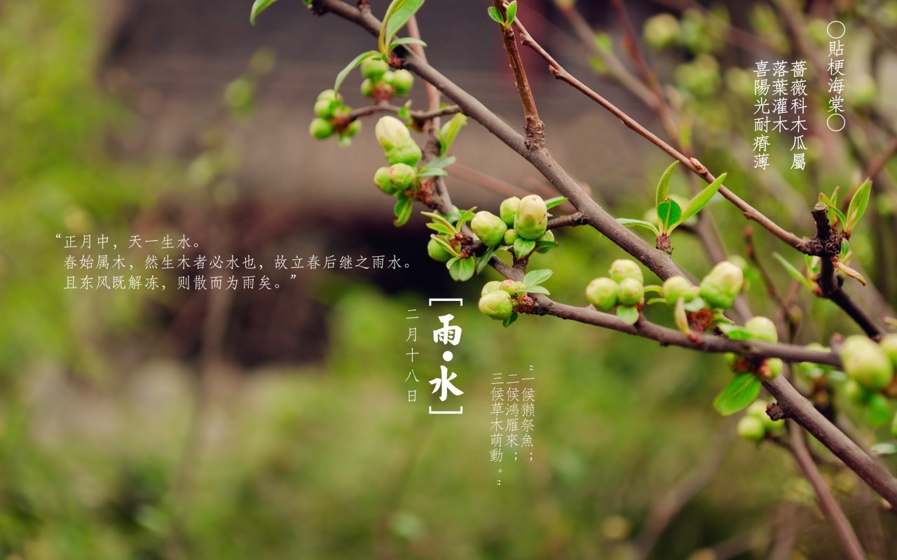 初春小雨古诗赏析（关于雨水的古诗）
