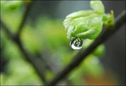 初春小雨古诗赏析（关于雨水的古诗）