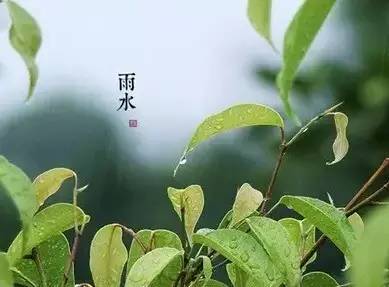 初春小雨古诗赏析（关于雨水的古诗）