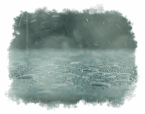 初春小雨古诗赏析（关于雨水的古诗）