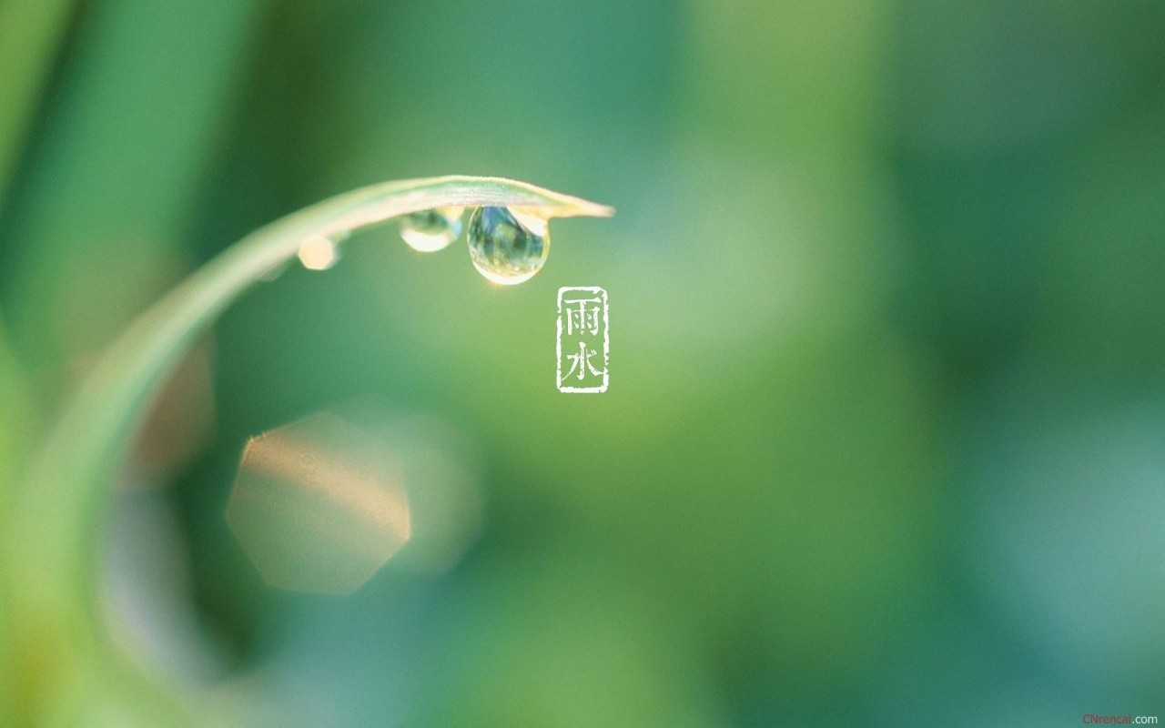 初春小雨古诗赏析（关于雨水的古诗）