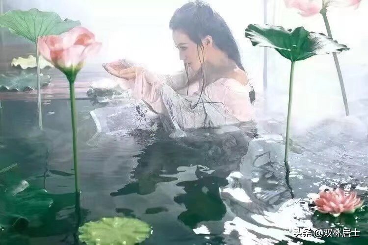 渔子歌古诗有哪些（5首优美古诗词）