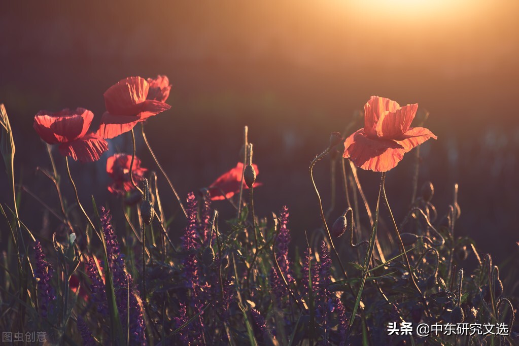 抒情散文诗有哪些（抒情散文精选简短）