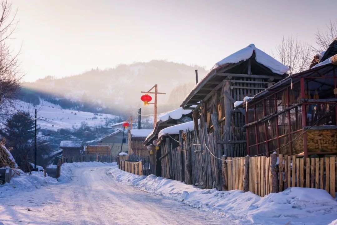 春天下雪的诗句唯美（赞美春天雪景的诗句）