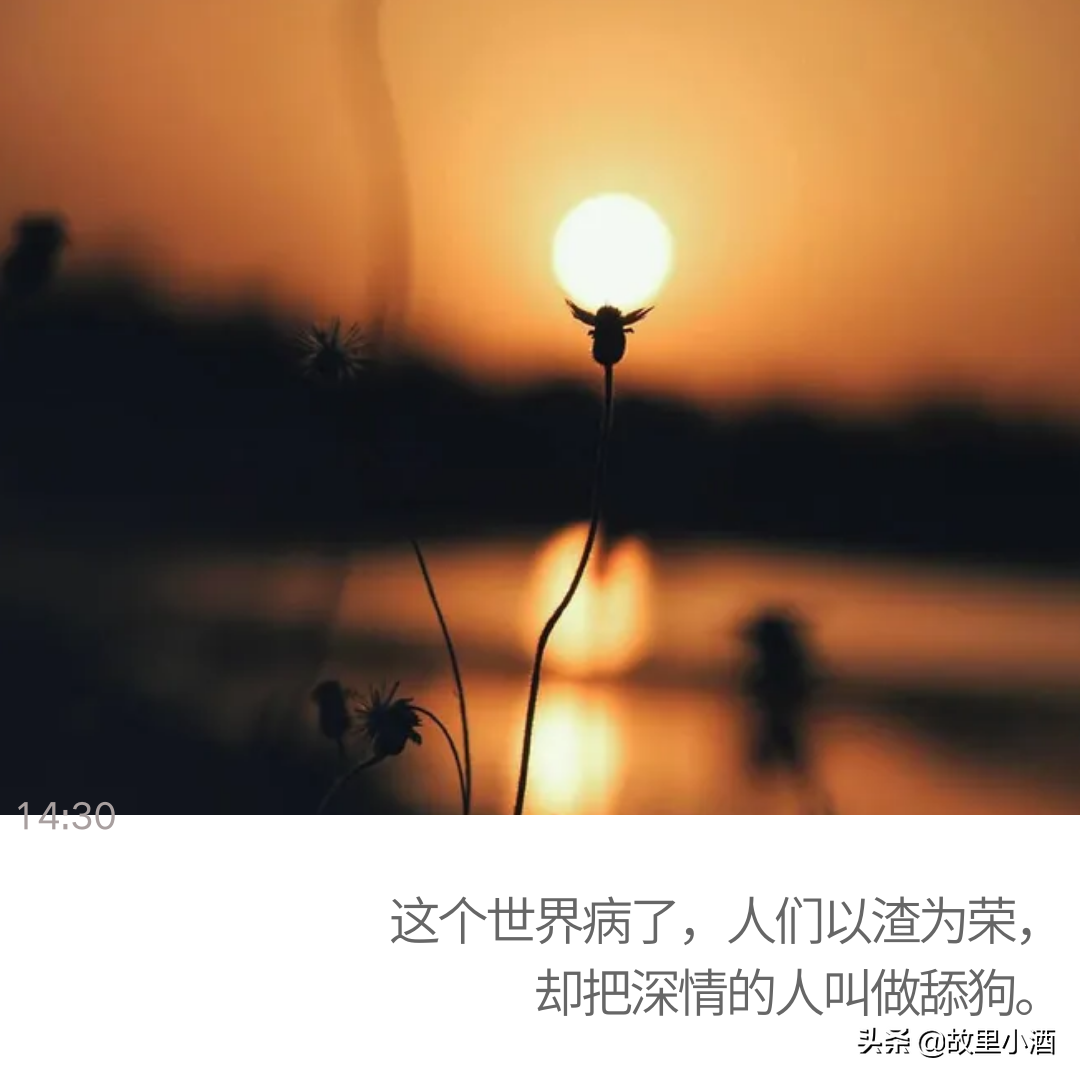 很多事情很无奈的句子（现实无奈扎心的心情说说）