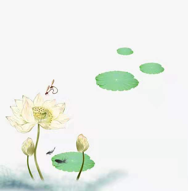 浪漫的句子简短的（世上最浪漫的三十句情话）