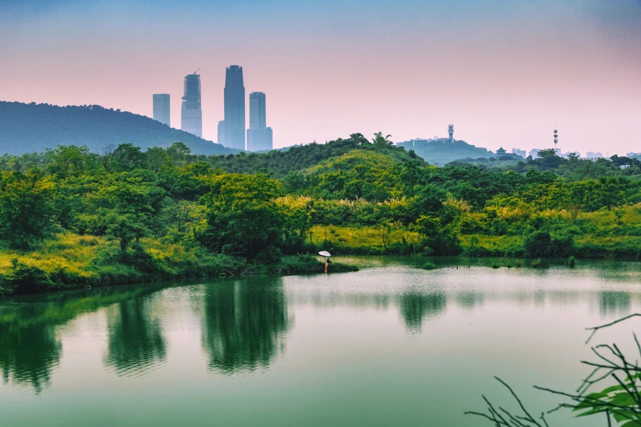古代诗词名句唯美励志（高雅有意境的励志诗句）