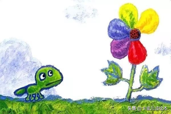 彩虹色的花完整绘本（彩虹色的花完整故事内容）