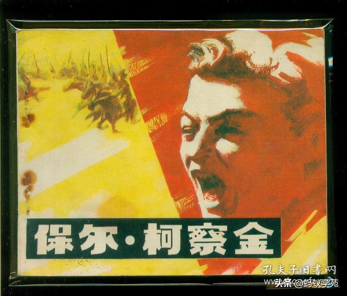 钢铁是怎样炼成的每章读后感悟（读书心得范文）