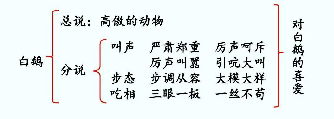 白鹅课文原文笔记（白鹅读书笔记主要内容）