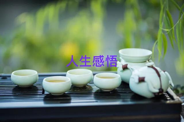心情散文随笔人生（人生感悟的抒情散文）