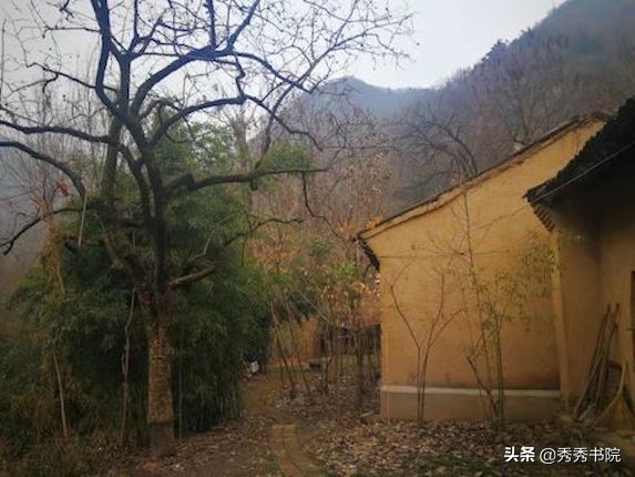 归园田居种豆南山下赏析（归园田居的内容）