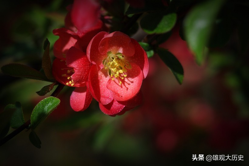 描写春天的诗歌短一点简单（关于春天的古诗大全）