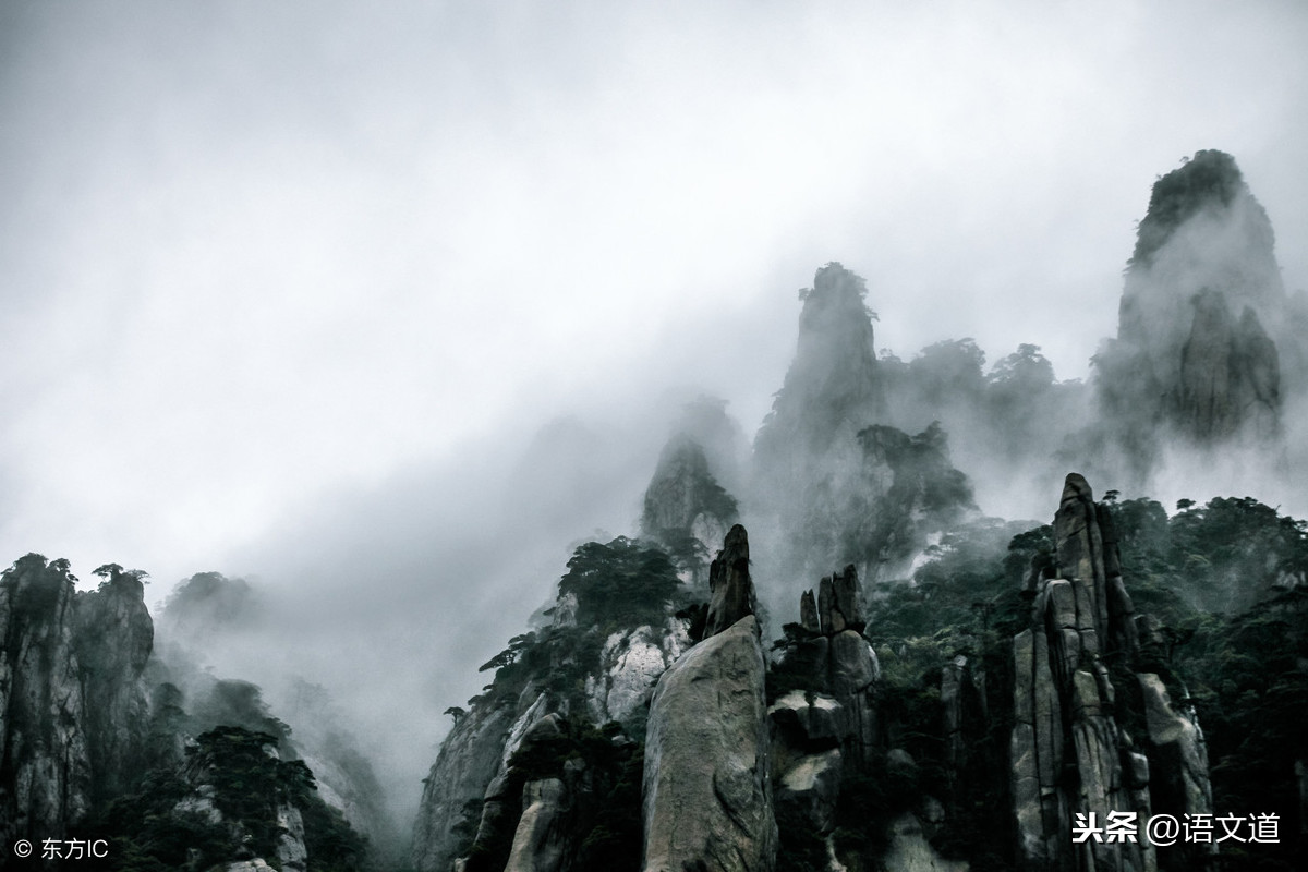 山中唐王勃古诗（山中全诗解析）