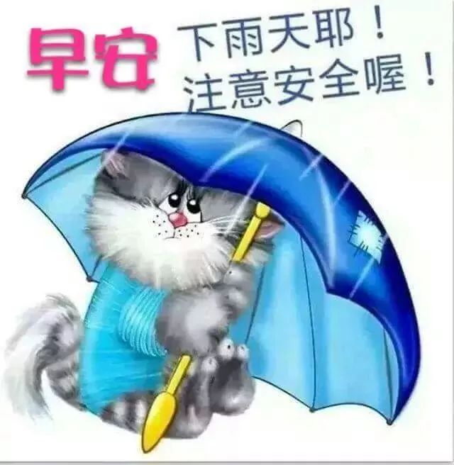 雨天短句暖心话早安语（最值收藏的雨天唯美语录）