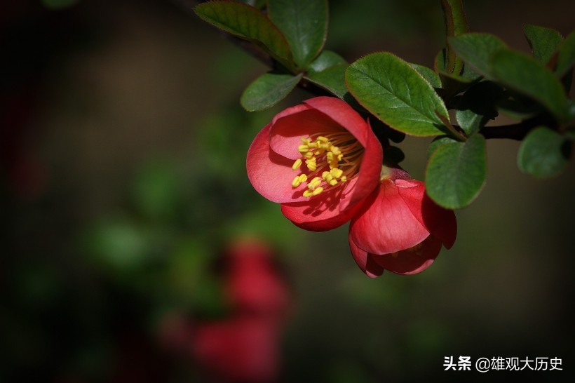描写春天的诗歌短一点简单（关于春天的古诗大全）