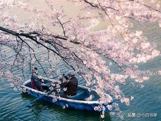 徐志摩的《邂逅》原文（徐志摩最美十首情诗）