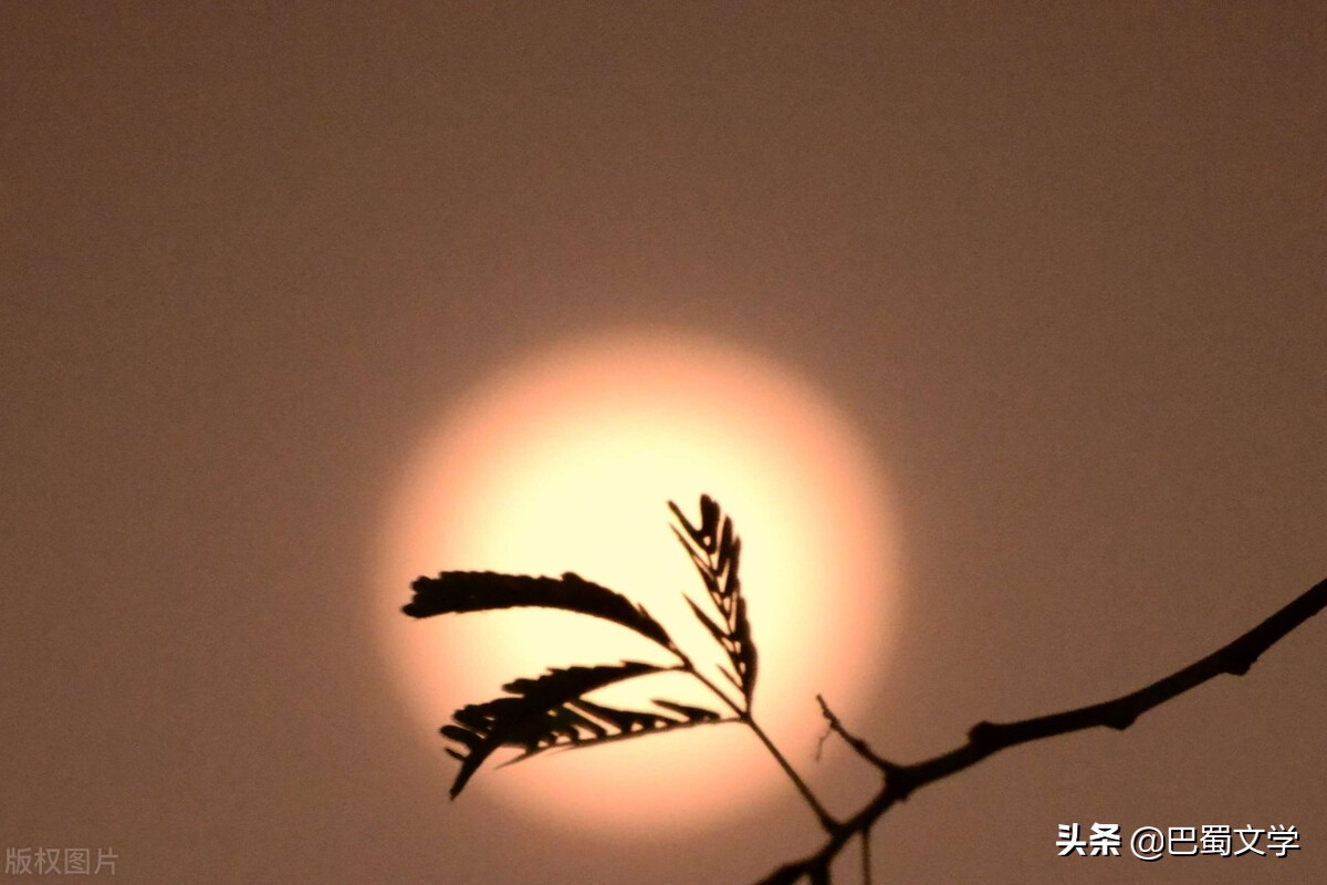 中秋散文短篇简短（中秋节的优美散文）
