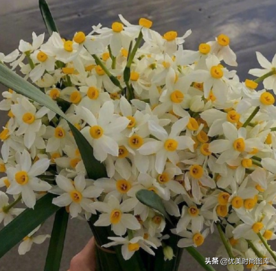 描写游玩心情愉快的句子（摘抄出游愉快的心情短语）