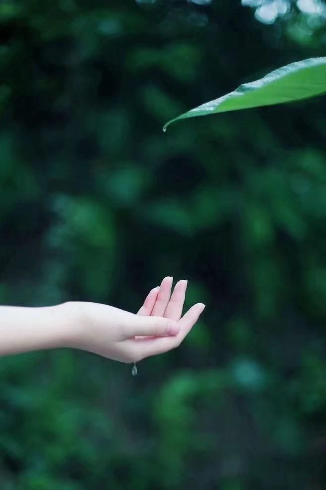 中秋节对已逝亲人思念的句子（让人落泪的情感语录）