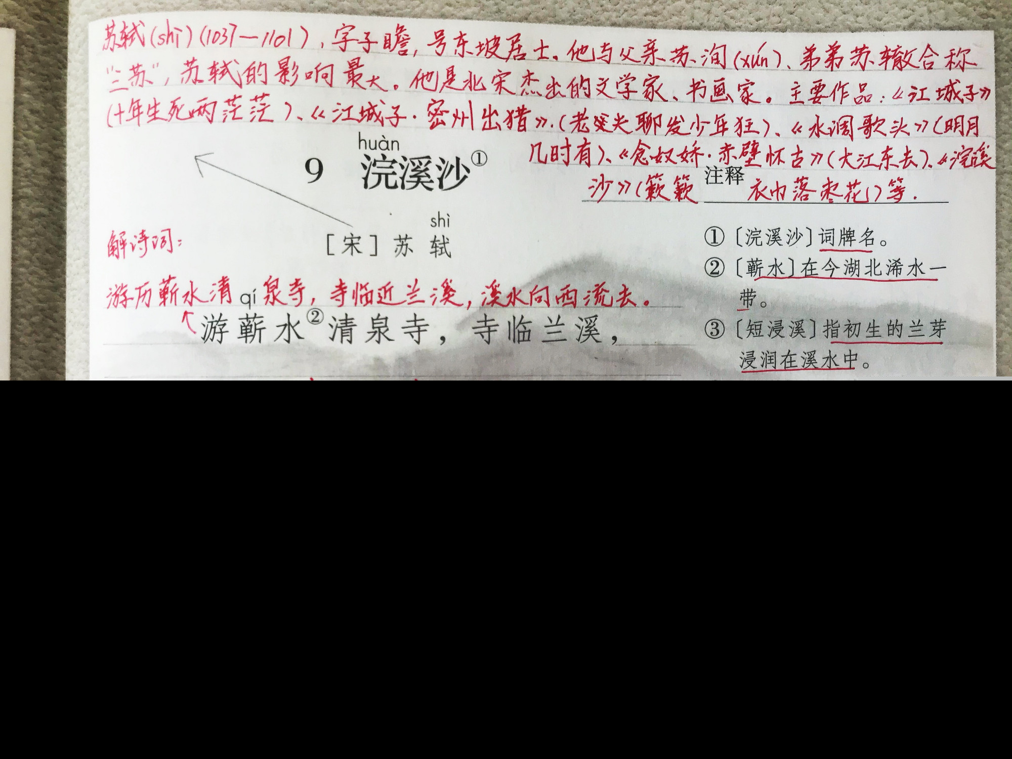 苏轼的浣溪沙全诗解析（浣溪沙赏析及中心思想）