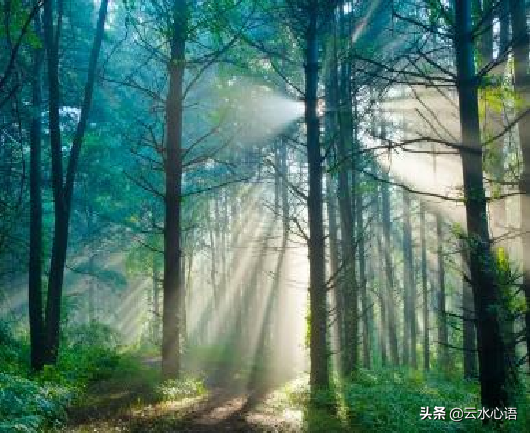 李贺最著名的两首诗（李贺代表作品最有名的）