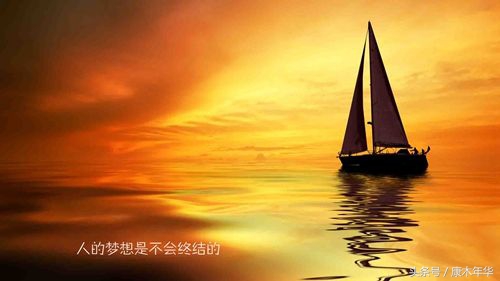 关于梦想的唯美语录英文（充满正能量的英文短句）