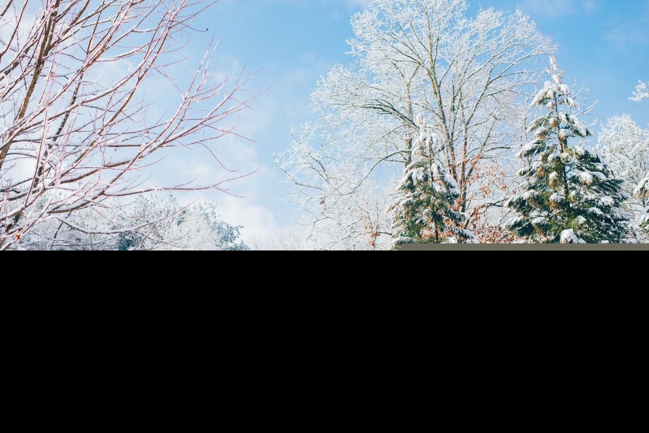 雪诗句古诗大全（赞美雪的诗句古诗）