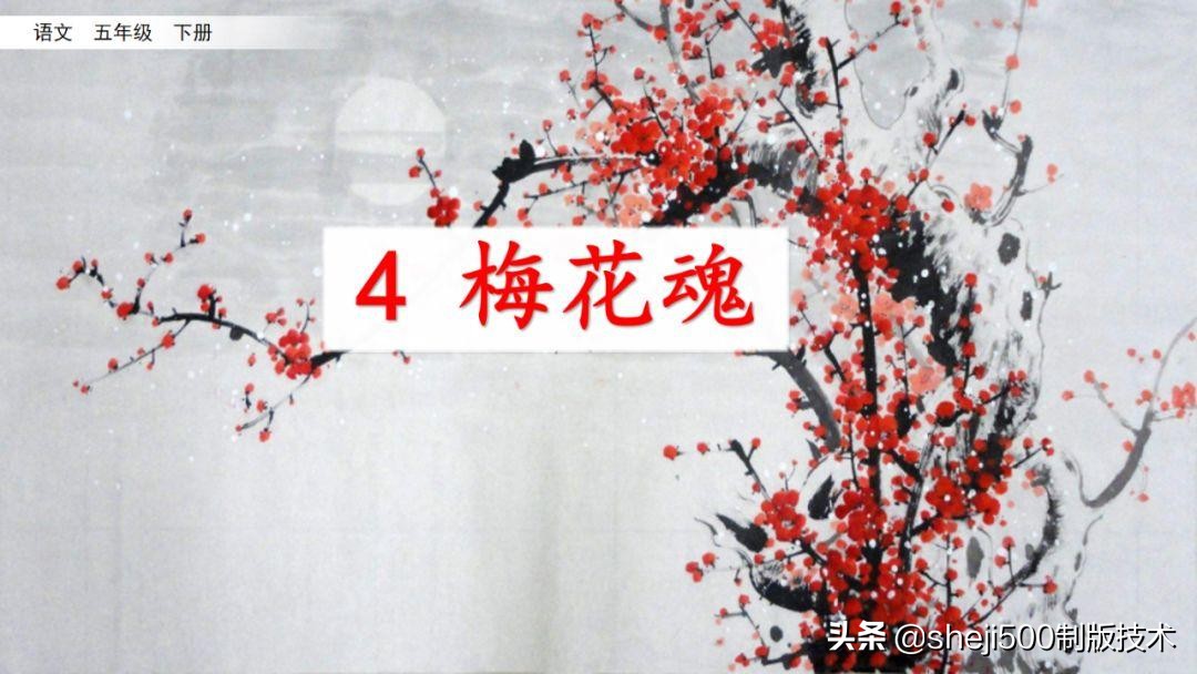 课文梅花魂指的是什么（梅花魂全文知识）