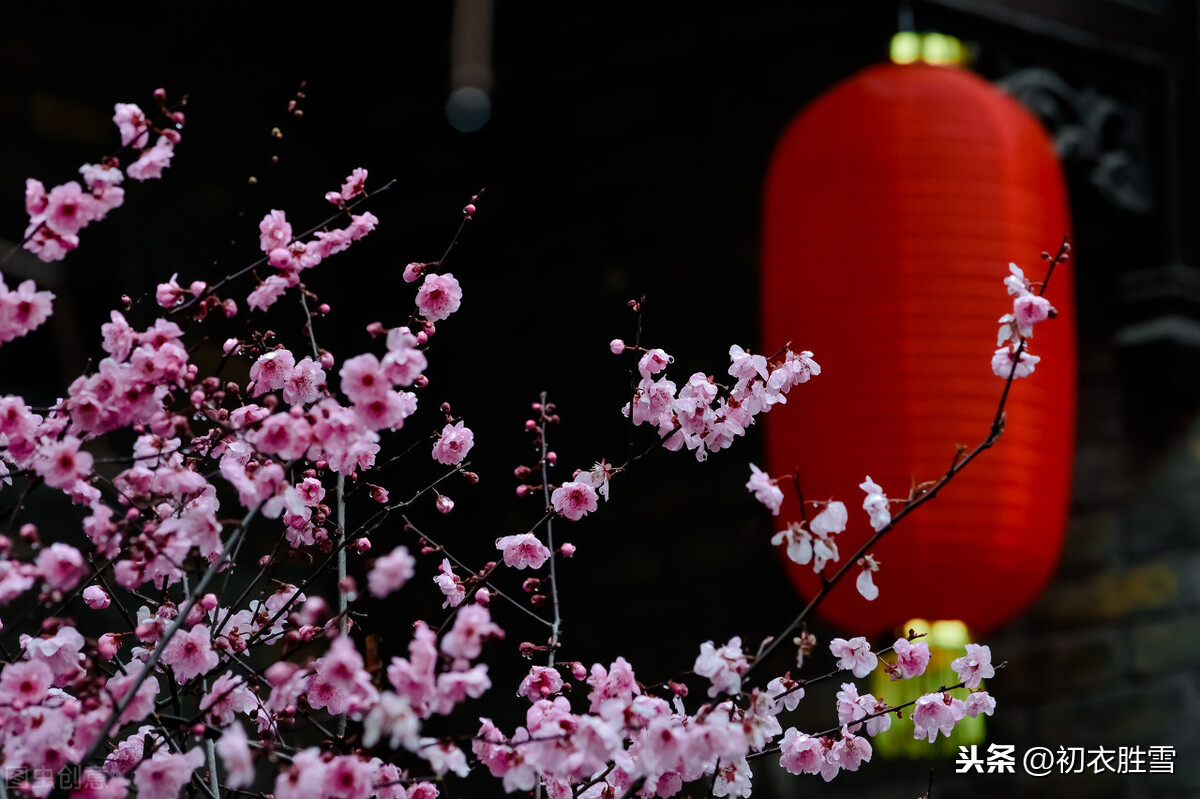 春节贺词诗句优美（新年祝福诗句唯美古诗）