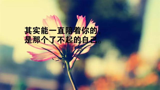 形容心里很温暖的句子（治愈系满满的正能量语录）