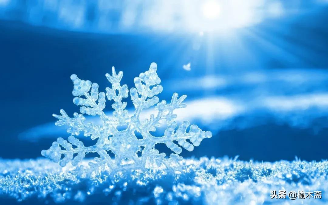 古诗雪罗隐的意思（古诗雪原文及解释）