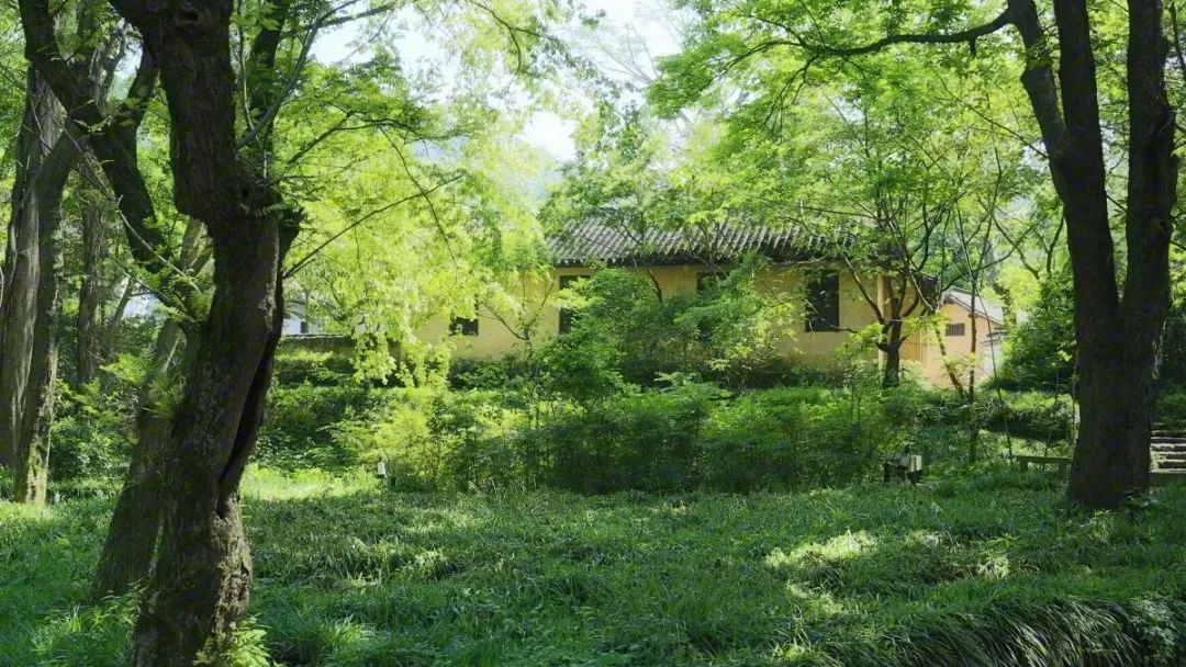 适合朗诵的国学经典诗歌（国学经典散文朗诵稿）