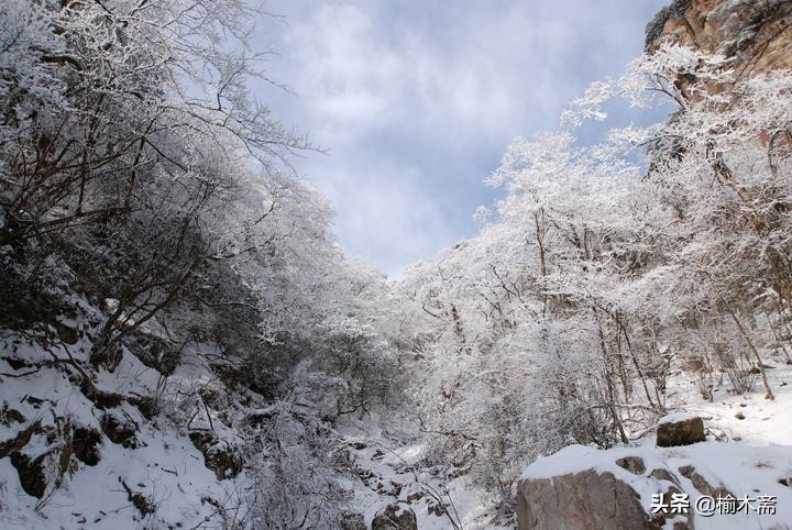 古诗雪罗隐的意思（古诗雪原文及解释）