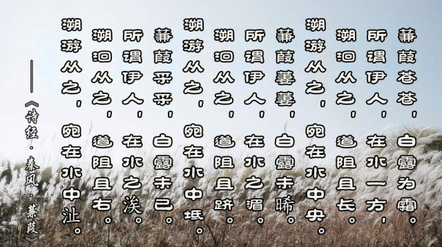 伊人在水一方全诗句（带有伊人的爱情诗词）