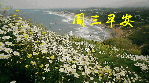 温馨祝福朋友的句子（最暖心的早安祝福语录）